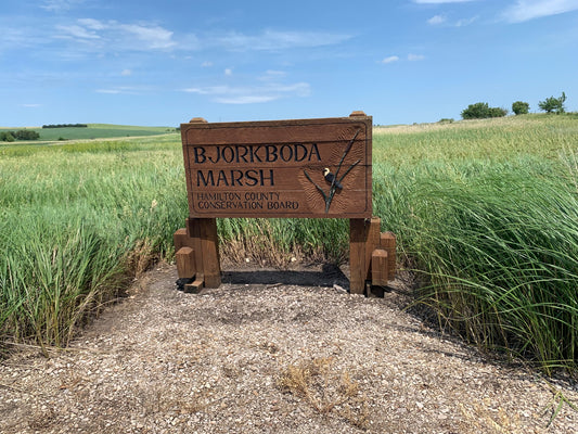 Bjorkboda Marsh - Wildlife Refuge - Shirt