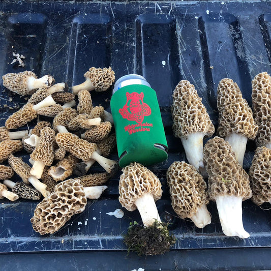 Finders Keepers - Morel Mushroom - Shirt