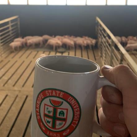 Hogs Are Beautiful - Shirt