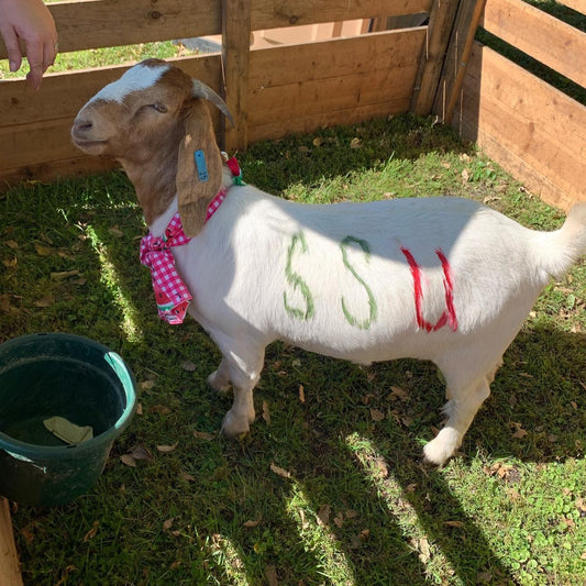 Goat Friendly Campus - College of Farming - Shirt