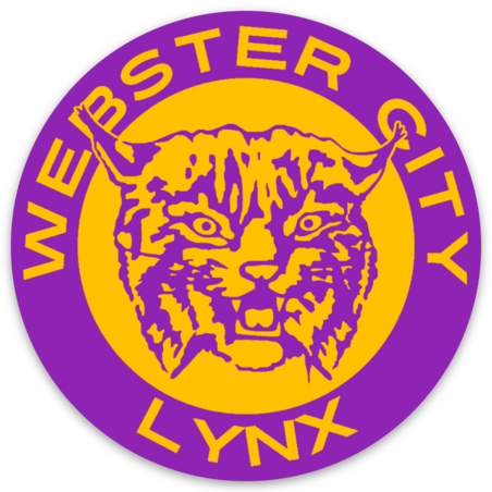 Vintage Webster City Kitty Sticker