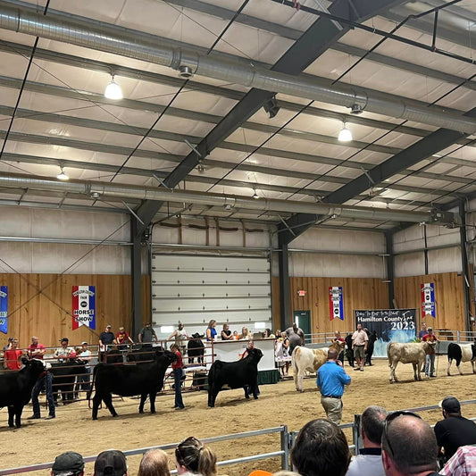 FAIR TIME in Hamilton County - Hoodie