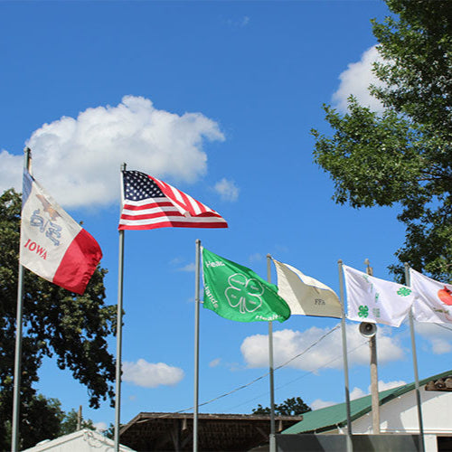 Hamilton County Fair Seed Dealer Mesh Trucker Snapback Hat
