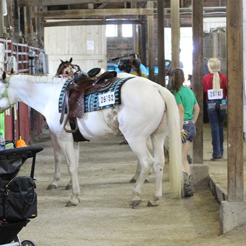 Livestock Barn Social Club - Shirt