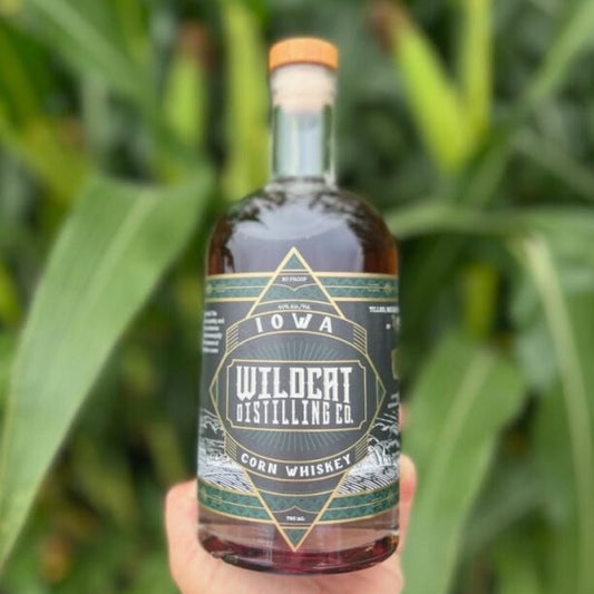 Bottle of Iowa Wildcat Distilling Co. corn whiskey held in front of corn plants