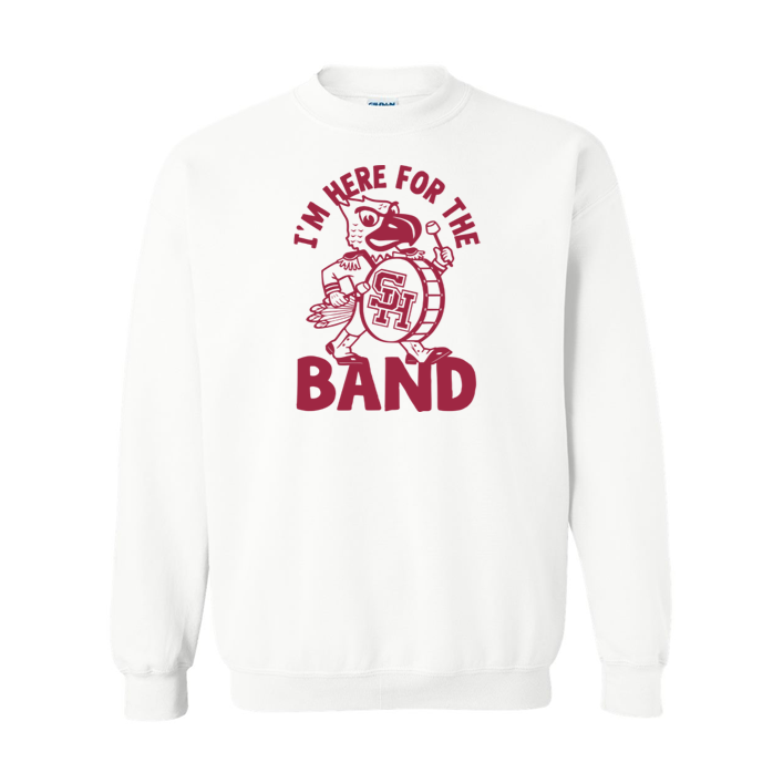 I'm Here for the Band - Shirt